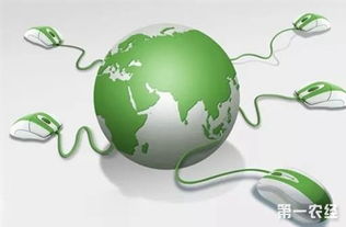 關(guān)注這十大農(nóng)業(yè)戰(zhàn)略，讓農(nóng)民朋友的錢(qián)包鼓起來(lái)