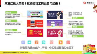 互聯(lián)網(wǎng)食品營(yíng)銷解決方案 從策略到執(zhí)行的全面指南