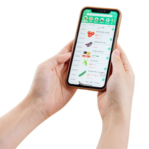 阿里巴巴關(guān)聯(lián)企業(yè)成立上海菜劃算公司，聚焦食品互聯(lián)網(wǎng)銷售加速搶占市場(chǎng)